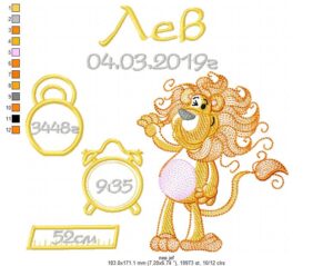 Детская метрика