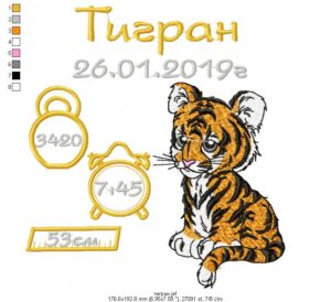 Детская метрика